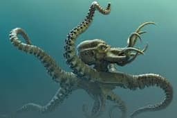 Kraken