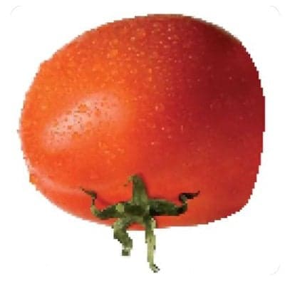 tinysoulgame token image