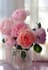 eaq21