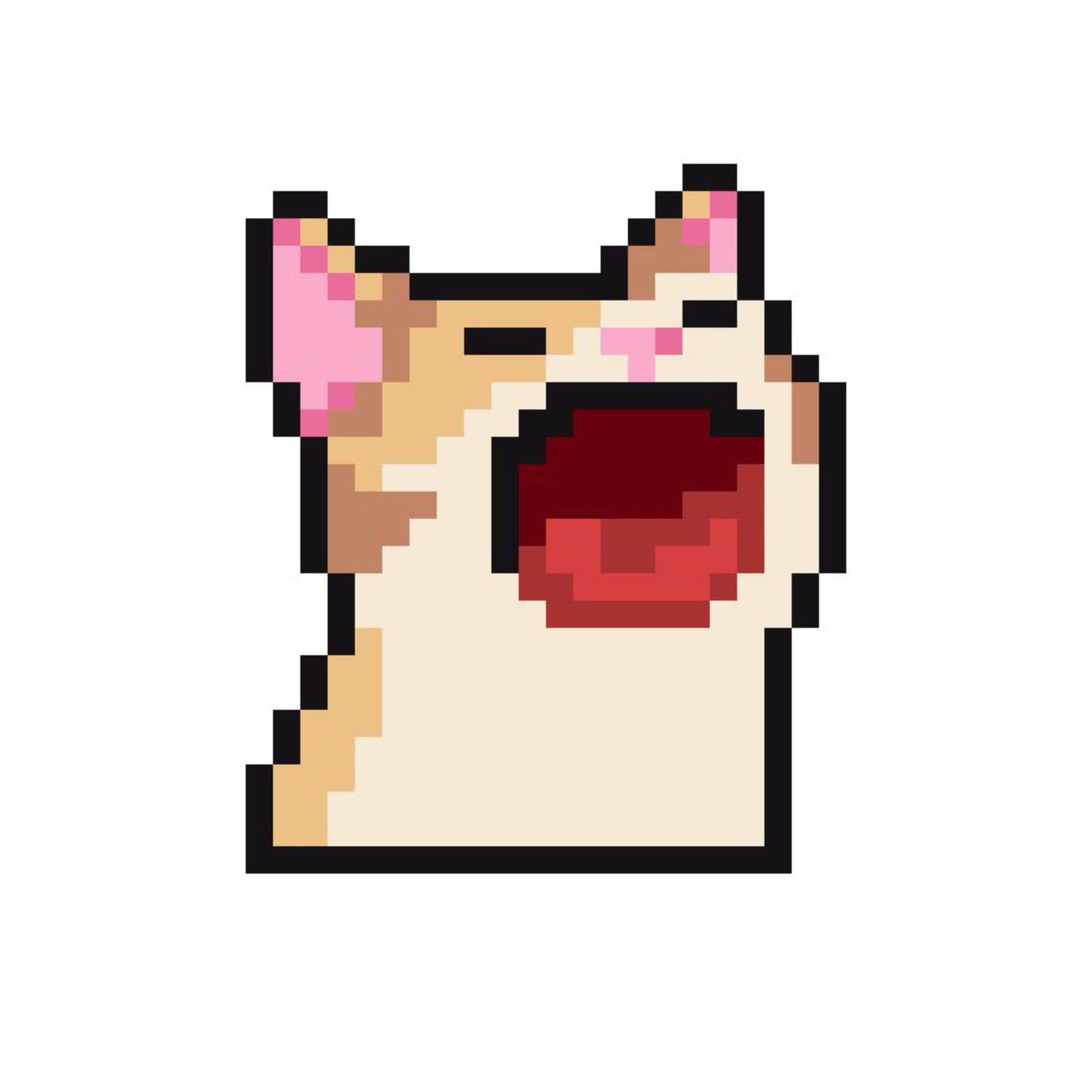 poap cat token image