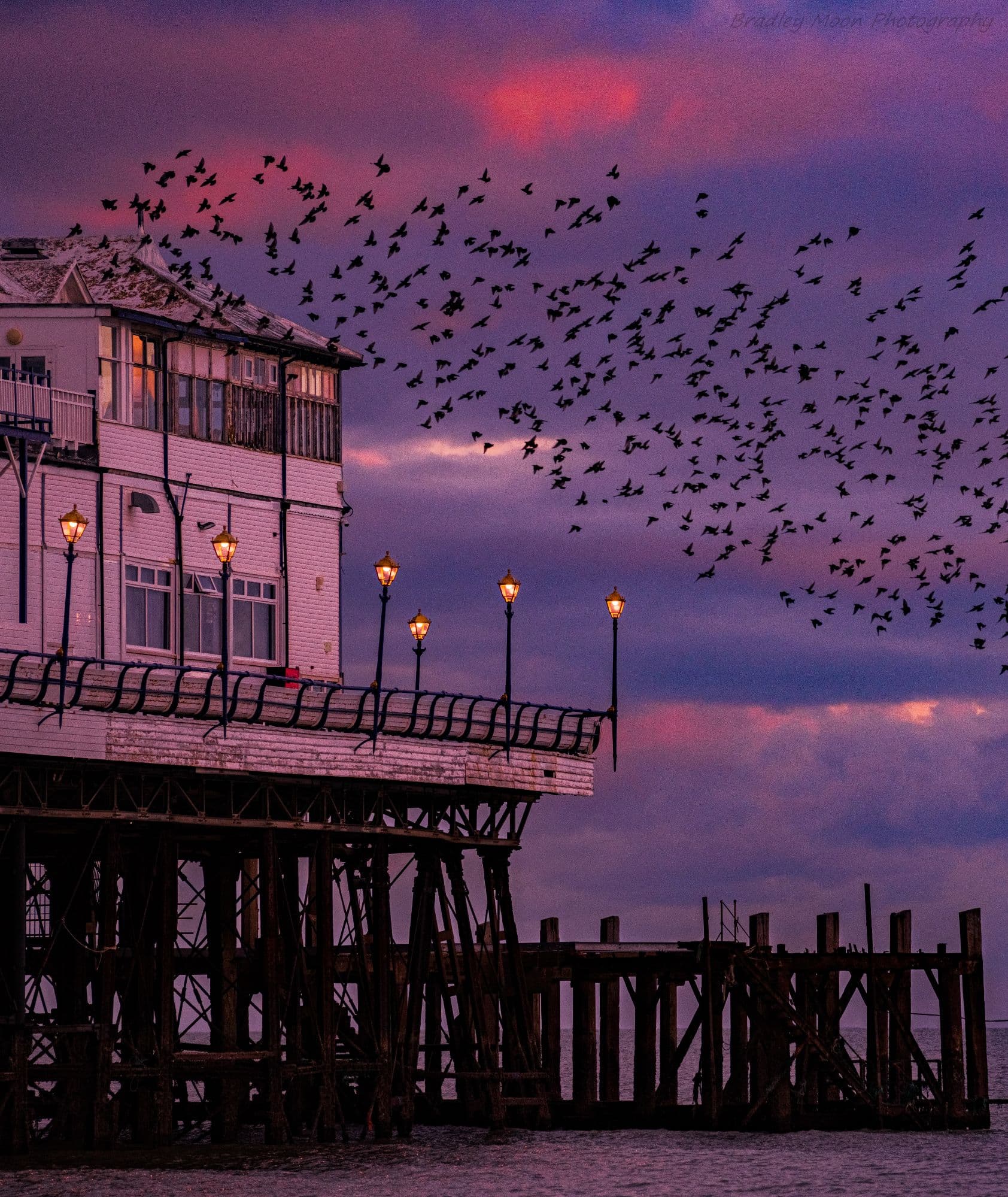 Purple Vibes token image