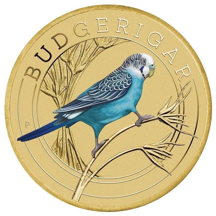 BUDGERIGAP token image