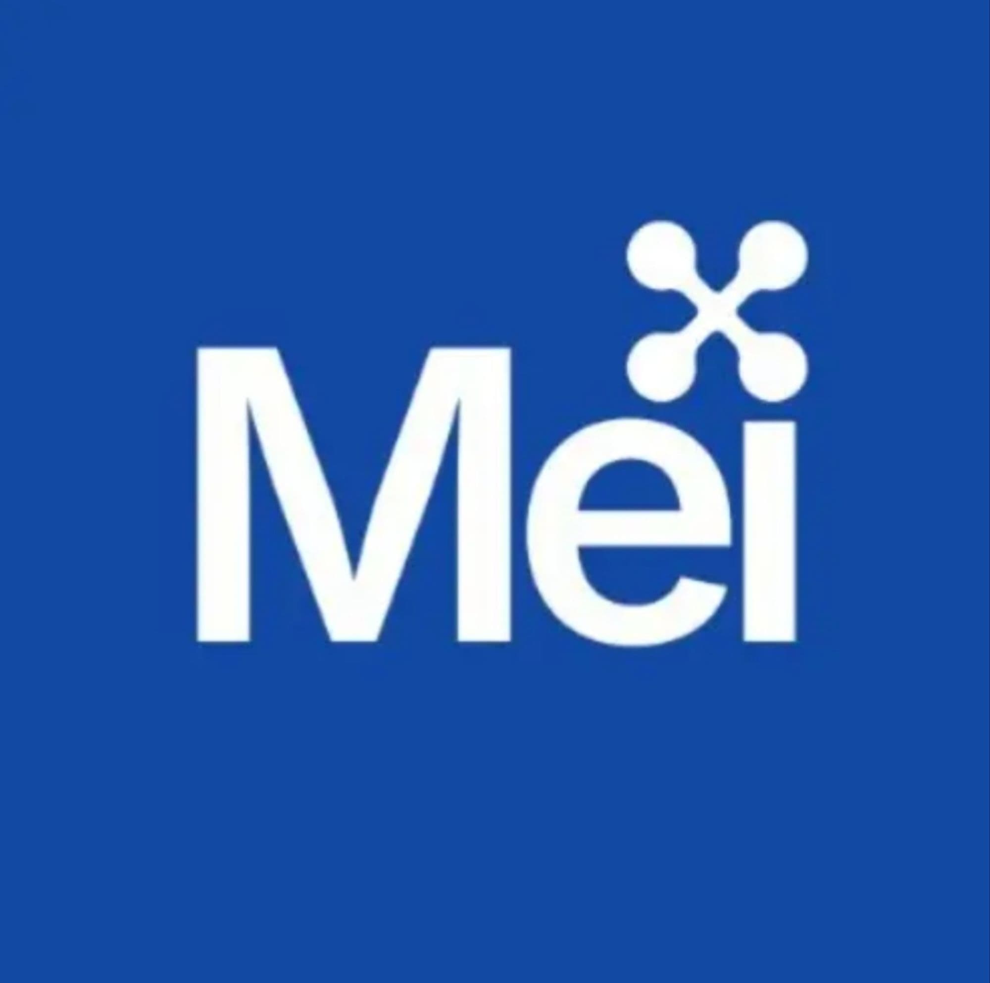MEI token image