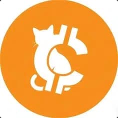 CTC coin token image