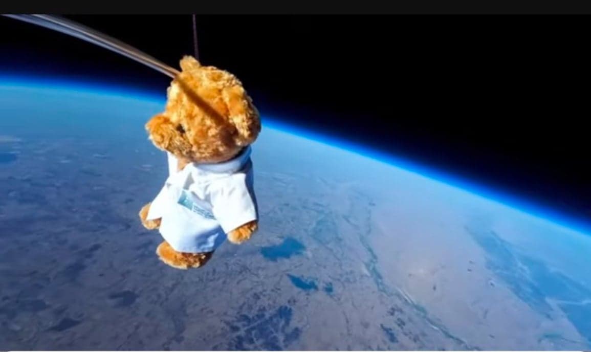 space bear token image
