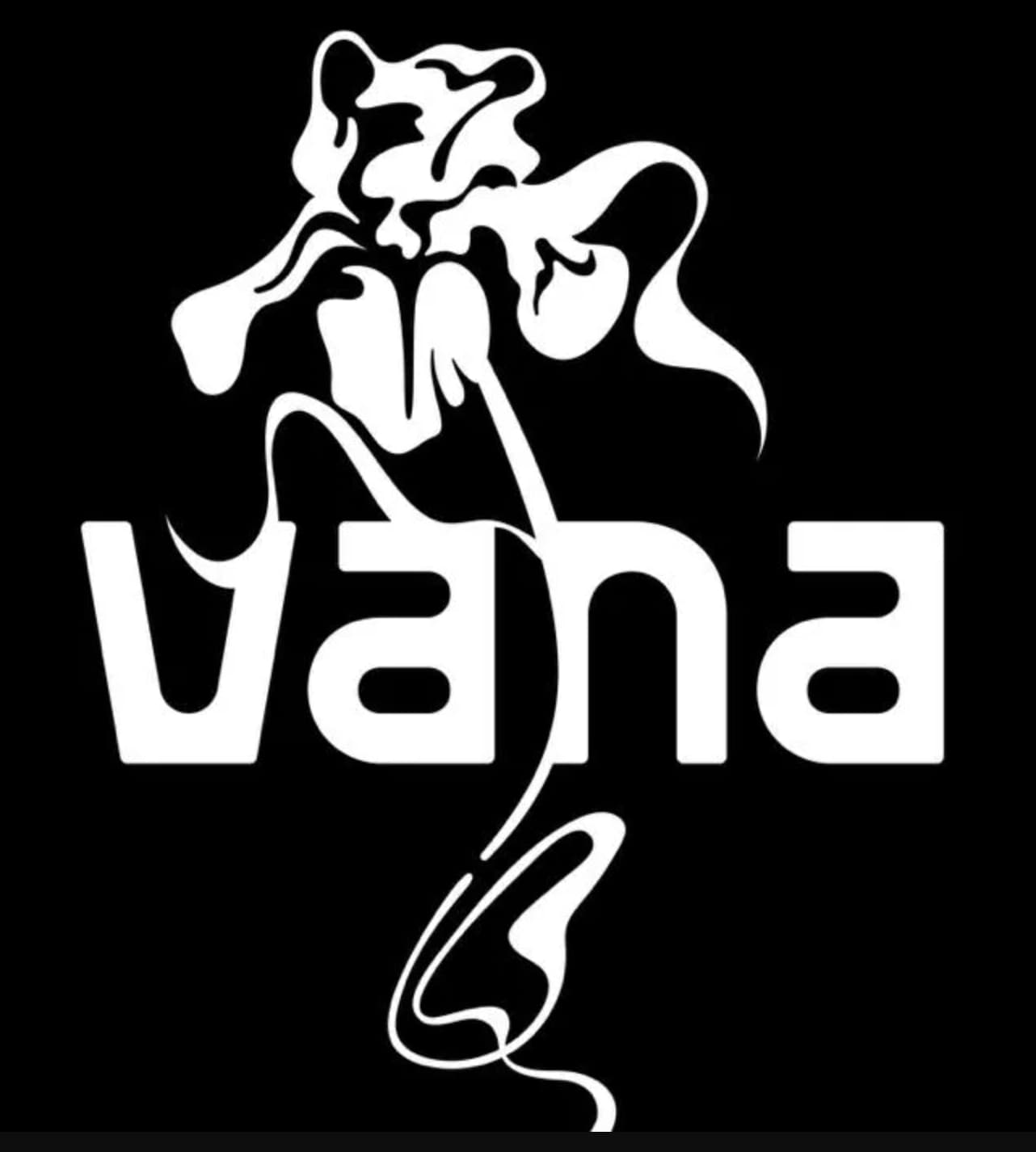 VANA token image