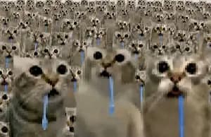 drooling cat token image