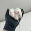 Ratcade