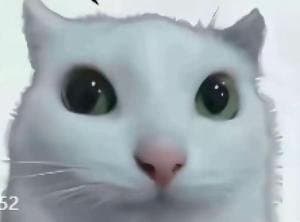 cat token image
