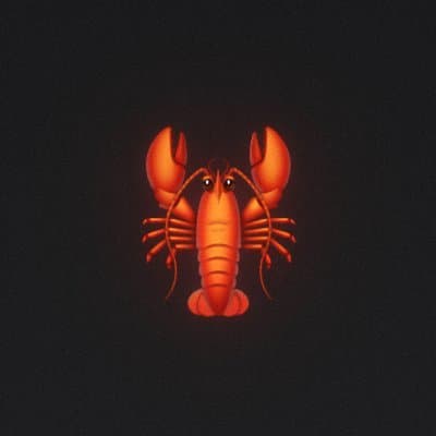 LobsterStripe ai token image