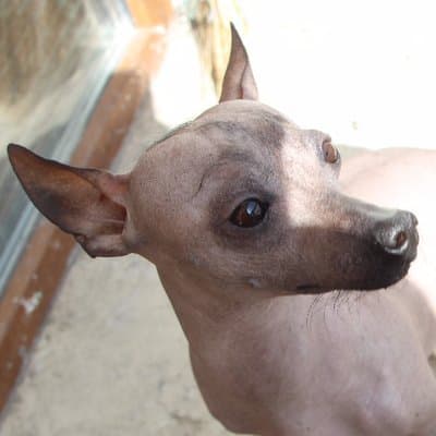 ClaudeVanDamhuyvgovne token image