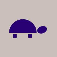 Tortoise Token