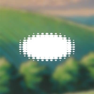 perpdotfun token image